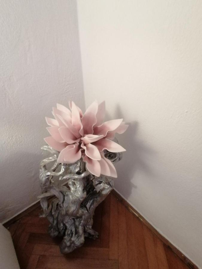 Apartmani Niki Hvar Hvar Town Buitenkant foto