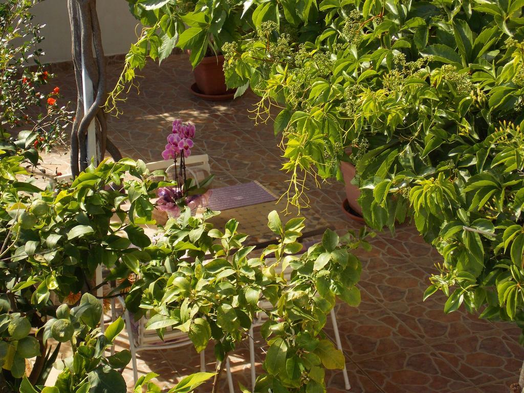 Apartmani Niki Hvar Hvar Town Buitenkant foto